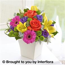 Vibrant Exquisite Arrangement