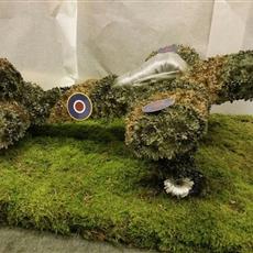 Spitfire Plane